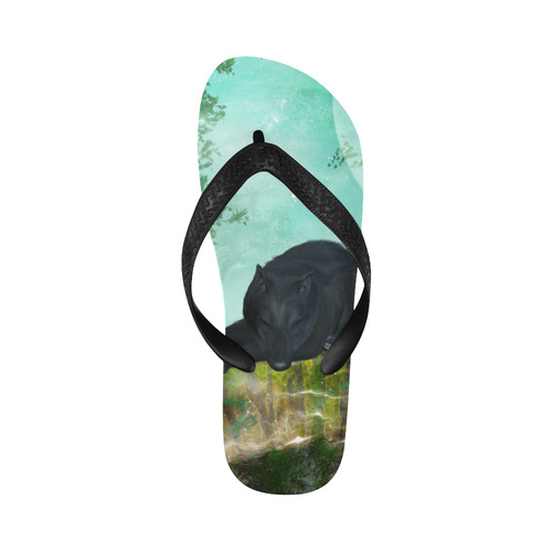 Sleeping wolf Flip Flops for Men/Women (Model 040)