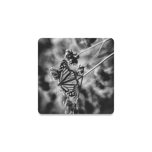 Monarch - Black and White Square Coaster