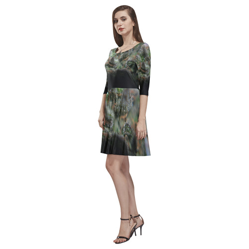 Budscape Tethys Half-Sleeve Skater Dress(Model D20)