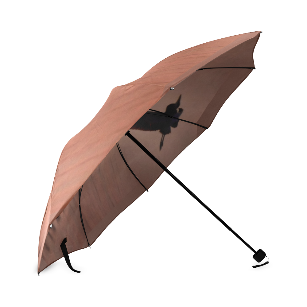 DSC_0032FAQ Foldable Umbrella (Model U01)