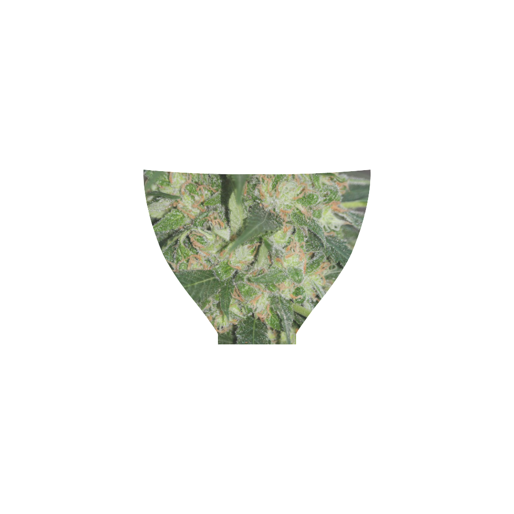 Green Crack Custom Bikini Swimsuit