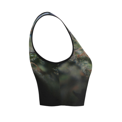 Budscape Women's Crop Top (Model T42)