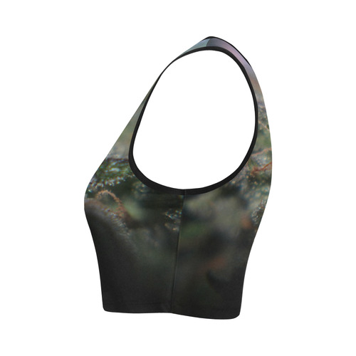 Budscape Women's Crop Top (Model T42)