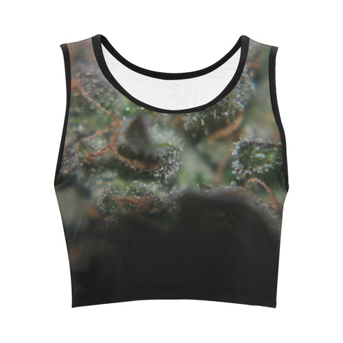 Budscape Women's Crop Top (Model T42)