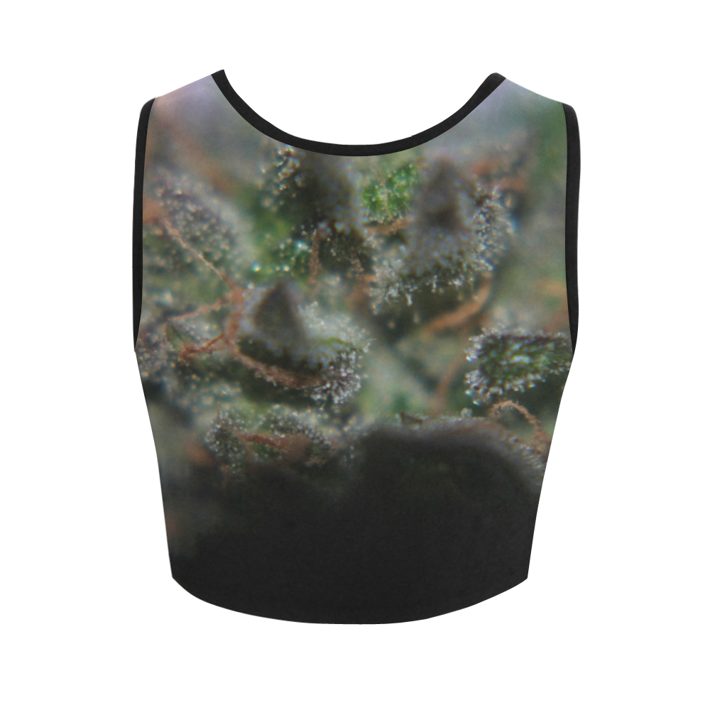 Budscape Women's Crop Top (Model T42)