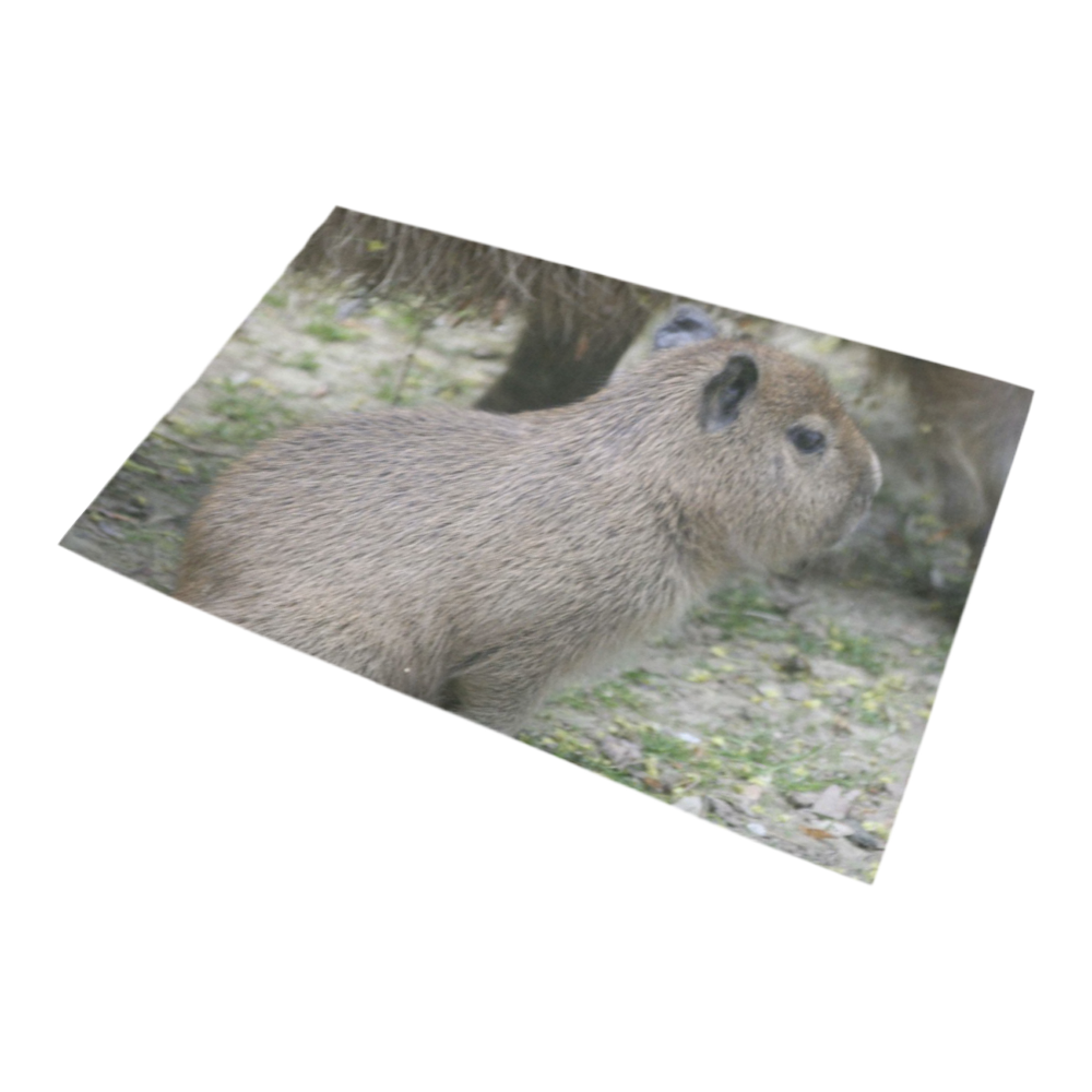 capybara baby Bath Rug 20''x 32''