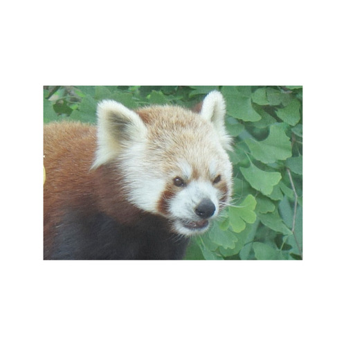 red Panda 517 by JamColors Placemat 12’’ x 18’’ (Set of 6)