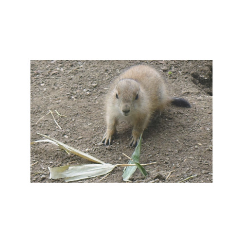 Baby prairie dog by JamColors Placemat 12’’ x 18’’ (Set of 6)