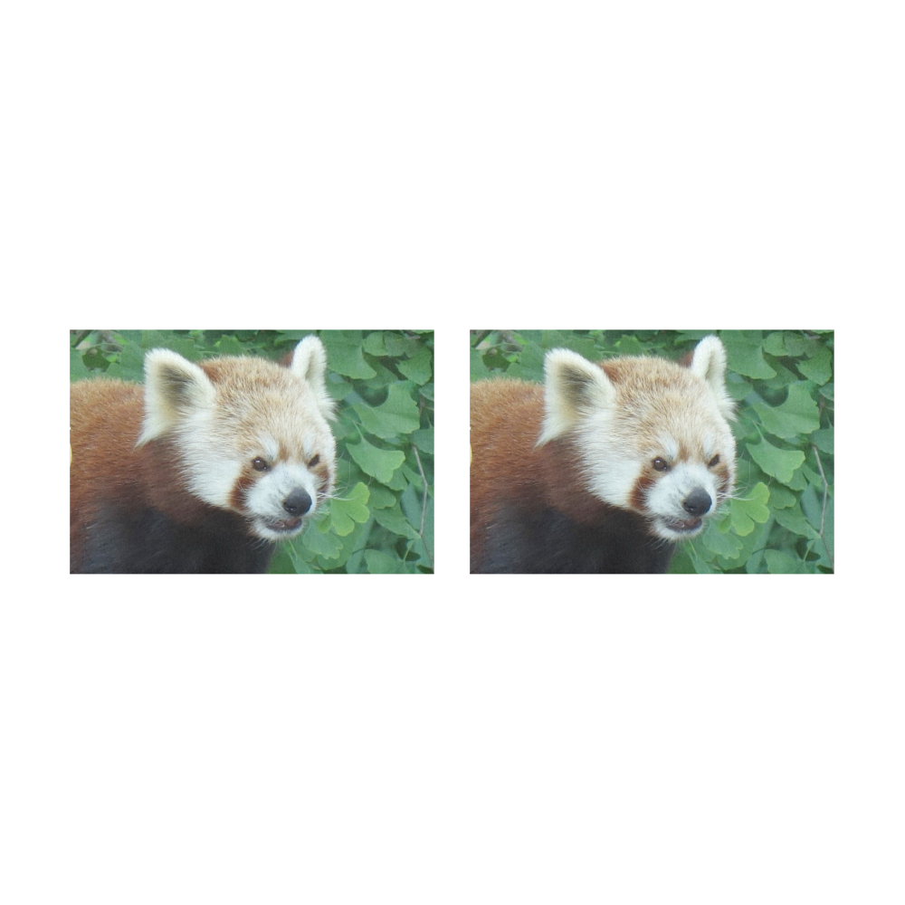 red Panda 517 by JamColors Placemat 12’’ x 18’’ (Set of 2)