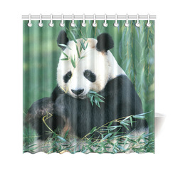 Giant Panda Eating Bamboo In Forest Shower Curtain 69"x70"