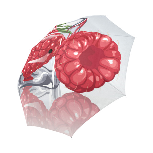 Ice Cube Raspberry Cool Summer Fruit Auto-Foldable Umbrella (Model U04)