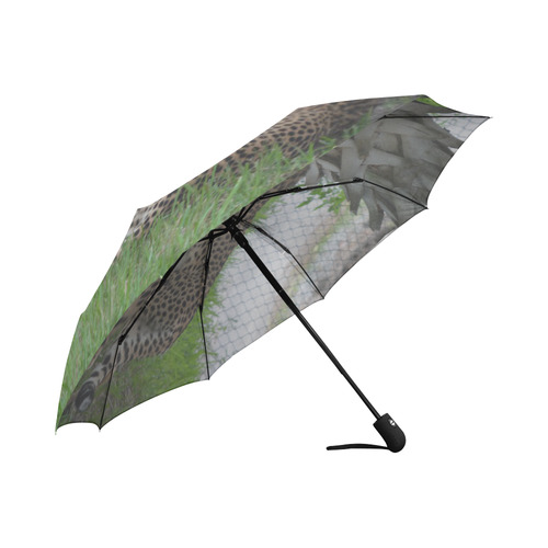 Cheetah Kiss Auto-Foldable Umbrella (Model U04)