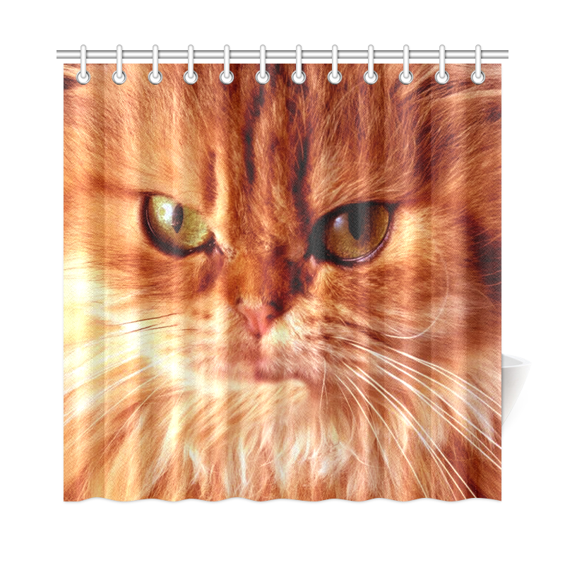 Orange Cat Shower Curtain 72"x72"