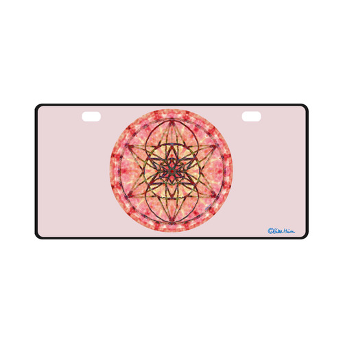 protection- vitality and awakening by Sitre haim License Plate
