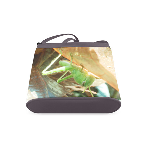 Baby Praying Mantis Nature Insects Crossbody Bags (Model 1613)