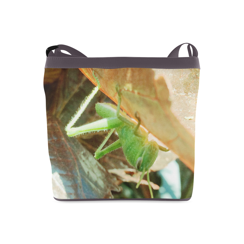 Baby Praying Mantis Nature Insects Crossbody Bags (Model 1613)