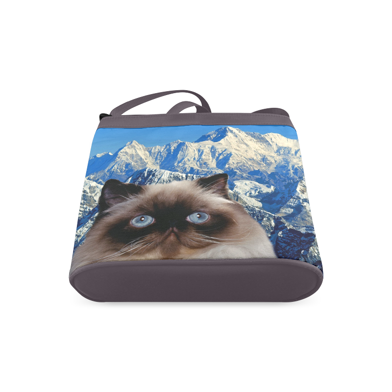 Himalayan Cat Crossbody Bags (Model 1613)