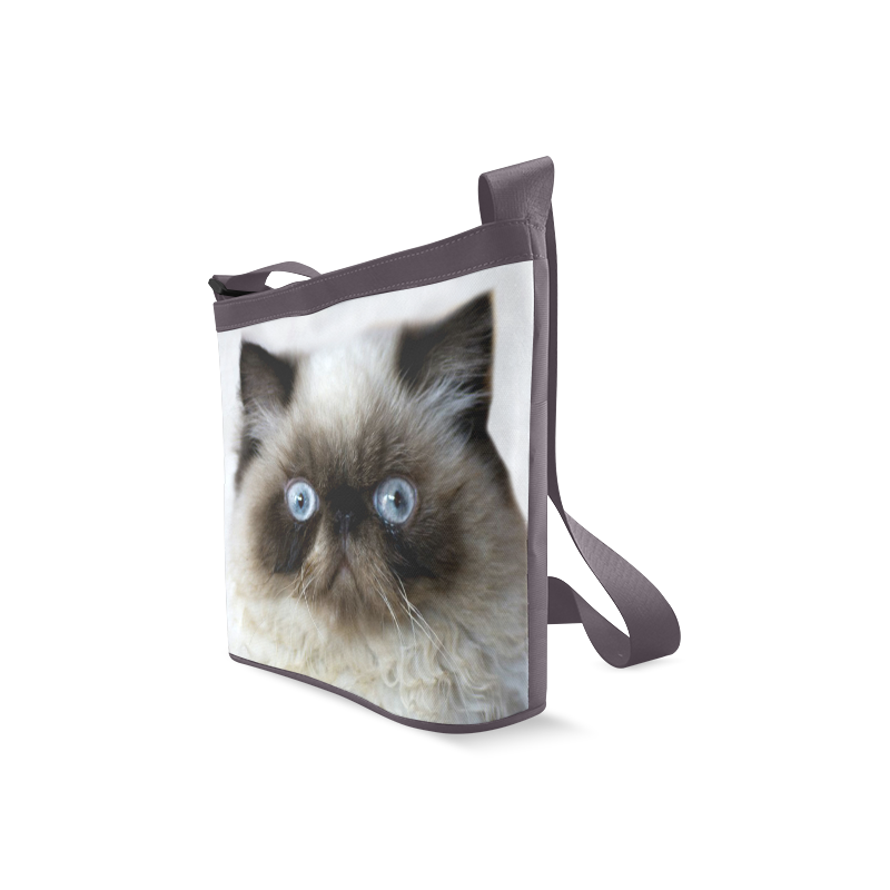 Funny Cat Crossbody Bags (Model 1613)