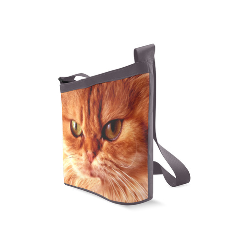 Orange Cat Crossbody Bags (Model 1613)