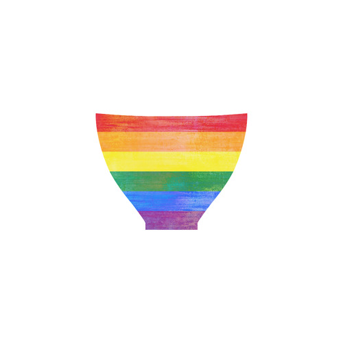 Rainbow Flag Colored Stripes Grunge Custom Bikini Swimsuit
