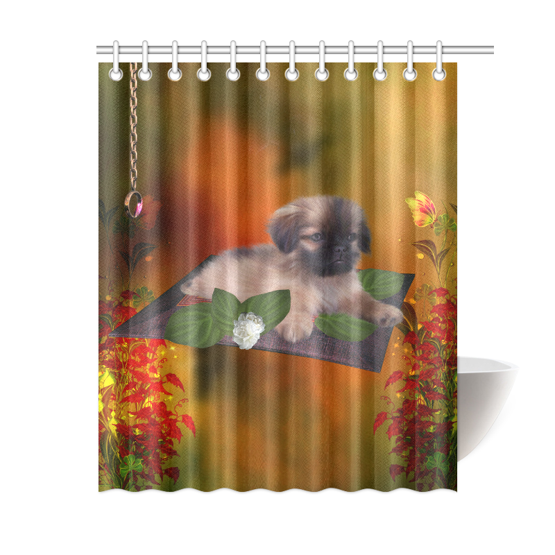 Cute lttle pekinese, dog Shower Curtain 60"x72"