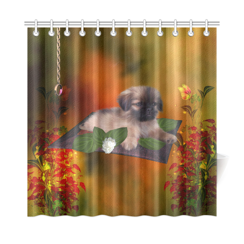 Cute lttle pekinese, dog Shower Curtain 72"x72"