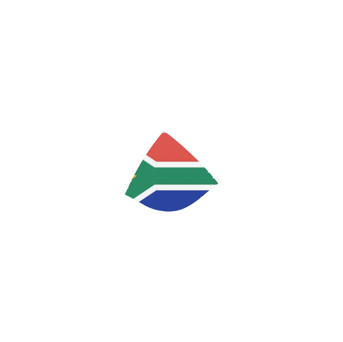 South African flag Custom Bikini Swimsuit (Model S01)