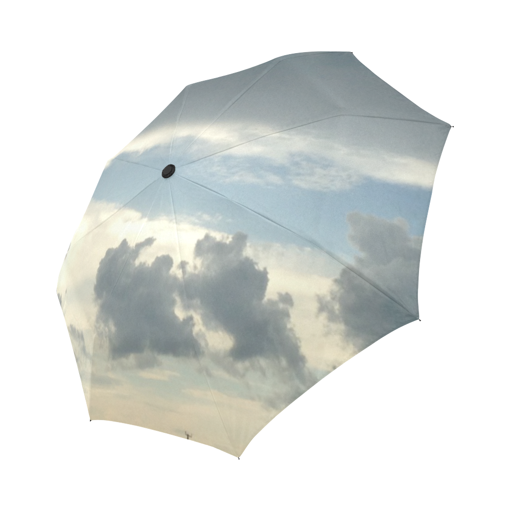 Storm Coming Auto-Foldable Umbrella (Model U04)