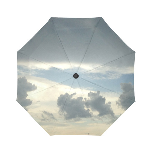 Storm Coming Auto-Foldable Umbrella (Model U04)