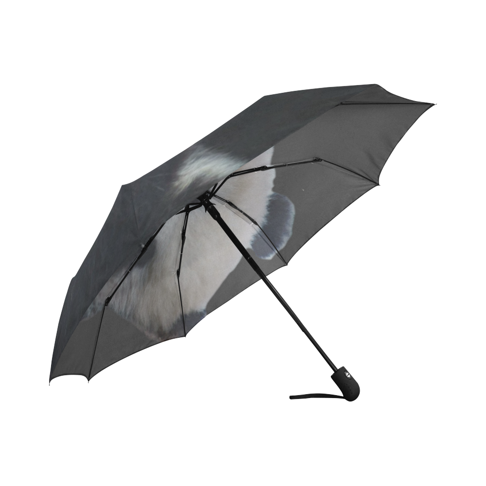 Baby Panda Auto-Foldable Umbrella (Model U04)