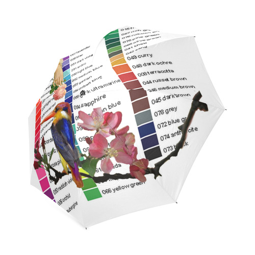 Kingfisher Colour Chart Foldable Umbrella (Model U01)