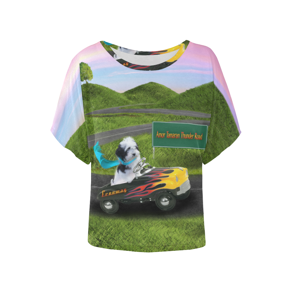 Freeway Sunset Women's Batwing-Sleeved Blouse T shirt (Model T44)