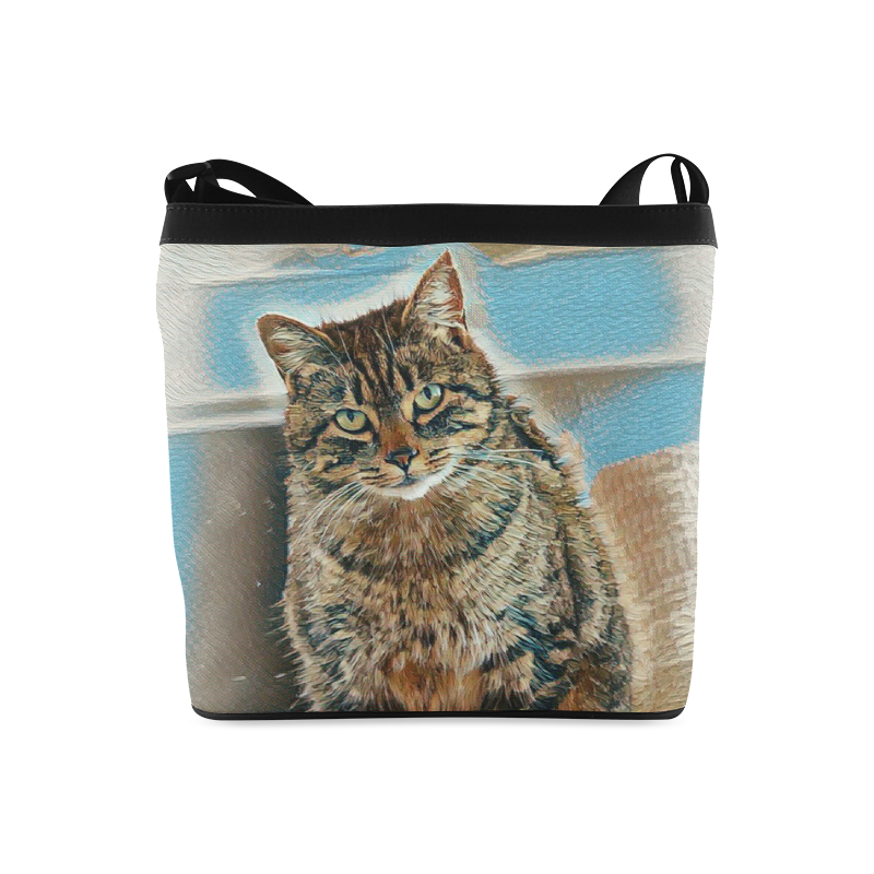 Cat in amusing look Crossbody Bags (Model 1613)