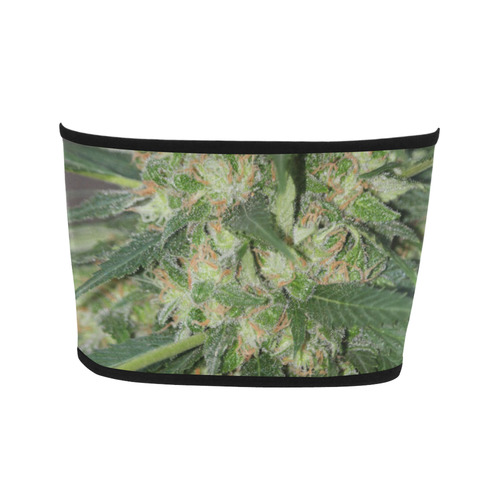 Green Crack Bandeau Top