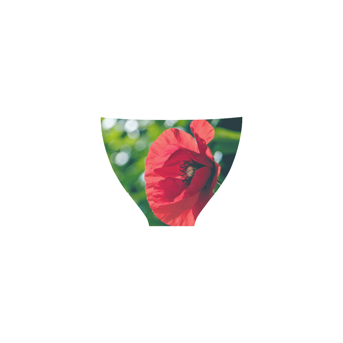 Red Poppy Flower Floral Art Custom Bikini Swimsuit (Model S01)