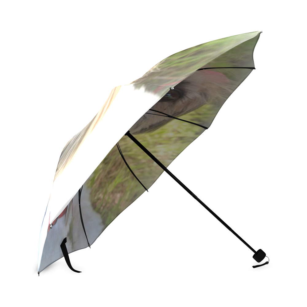 JAZZY Foldable Umbrella (Model U01)