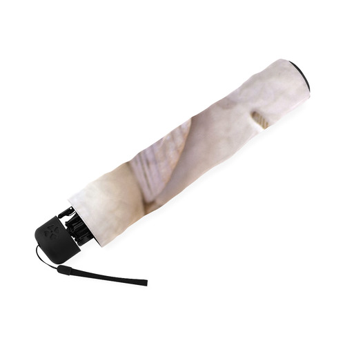 Seashells And Sand Dollars Foldable Umbrella (Model U01)