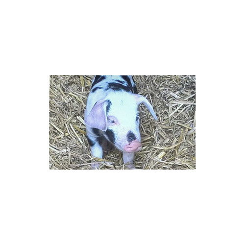 next cute piglet by JamColors Area Rug 2'7"x 1'8‘’