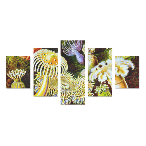 Sea Anemones Ernst Haeckel Sea Animals Canvas Print Sets B (No Frame)