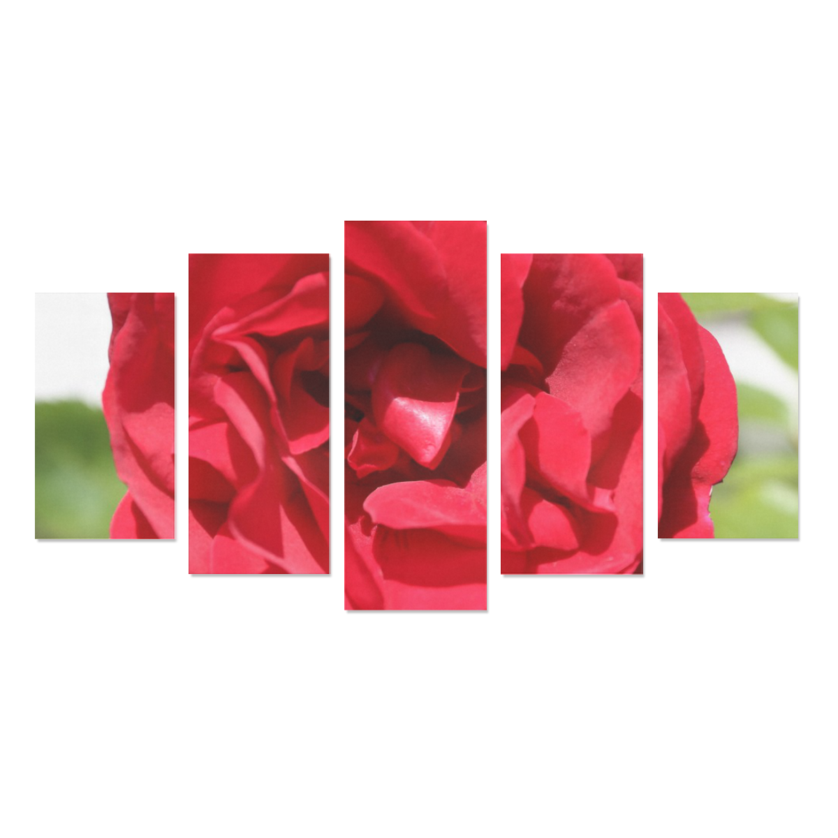 Red Rose Flower Blossom Canvas Print Sets A (No Frame)