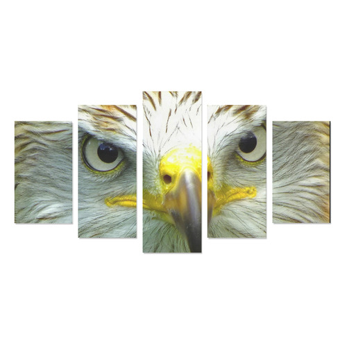 Red Kite Owl Canvas Print Sets A (No Frame)