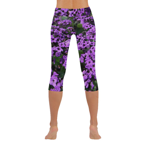 Purple Flowers Women's Low Rise Capri Leggings (Invisible Stitch) (Model L08)