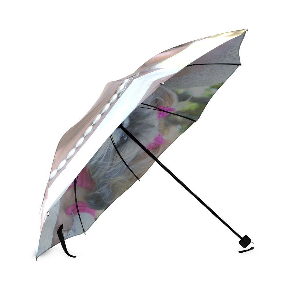 Gailtricia and Jazzy Foldable Umbrella (Model U01)