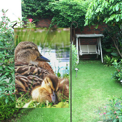 Sleeping Duckling Flag Garden Flag 12‘’x18‘’（Without Flagpole）