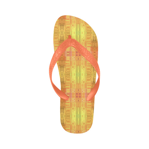 Glitch No. 5 Flip Flops for Men/Women (Model 040)