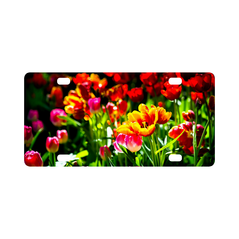 Colorful tulip flowers chic spring floral beauty Classic License Plate