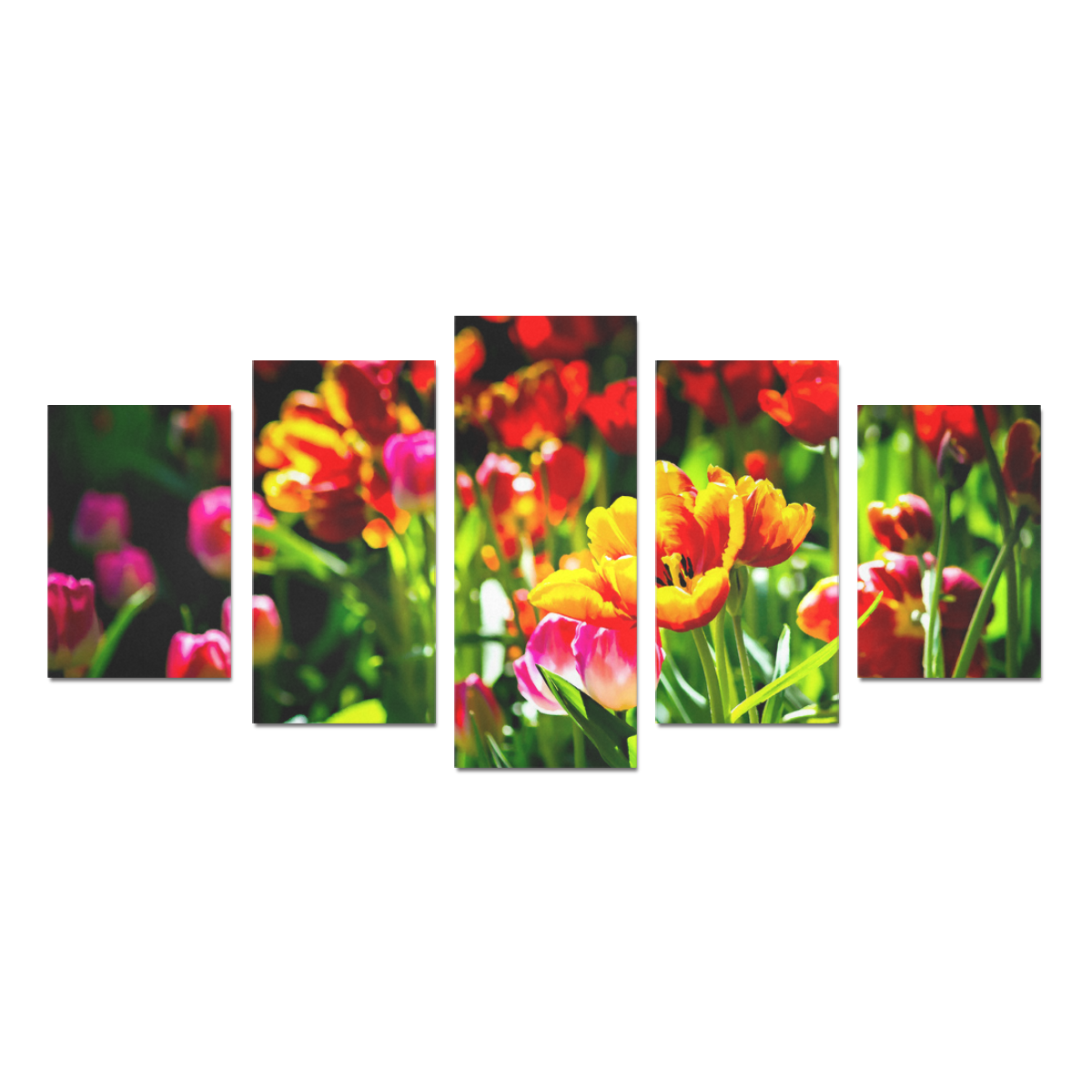 Colorful tulip flowers chic spring floral beauty Canvas Print Sets D (No Frame)