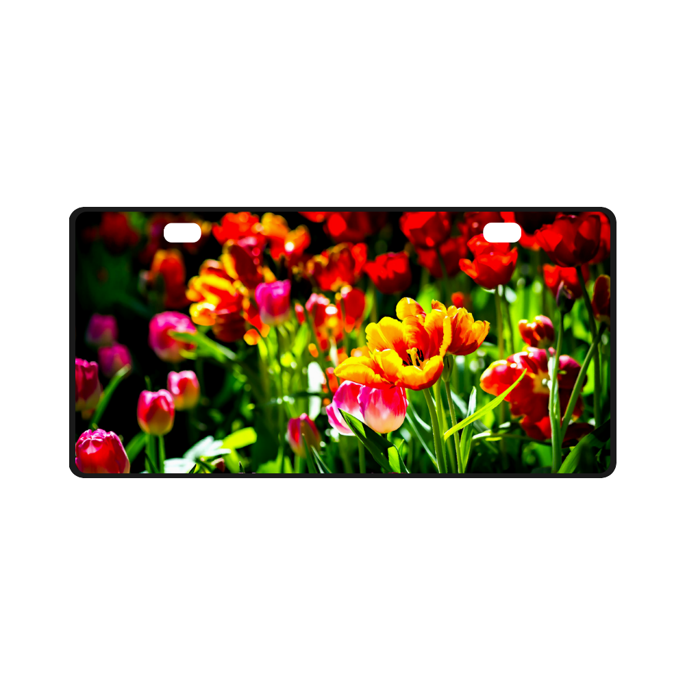 Colorful tulip flowers chic spring floral beauty License Plate