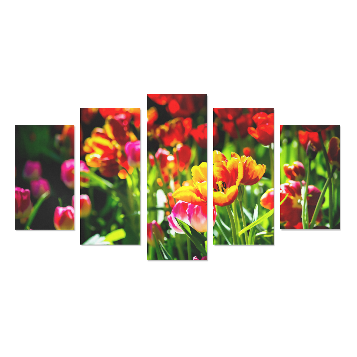 Colorful tulip flowers chic spring floral beauty Canvas Print Sets A (No Frame)