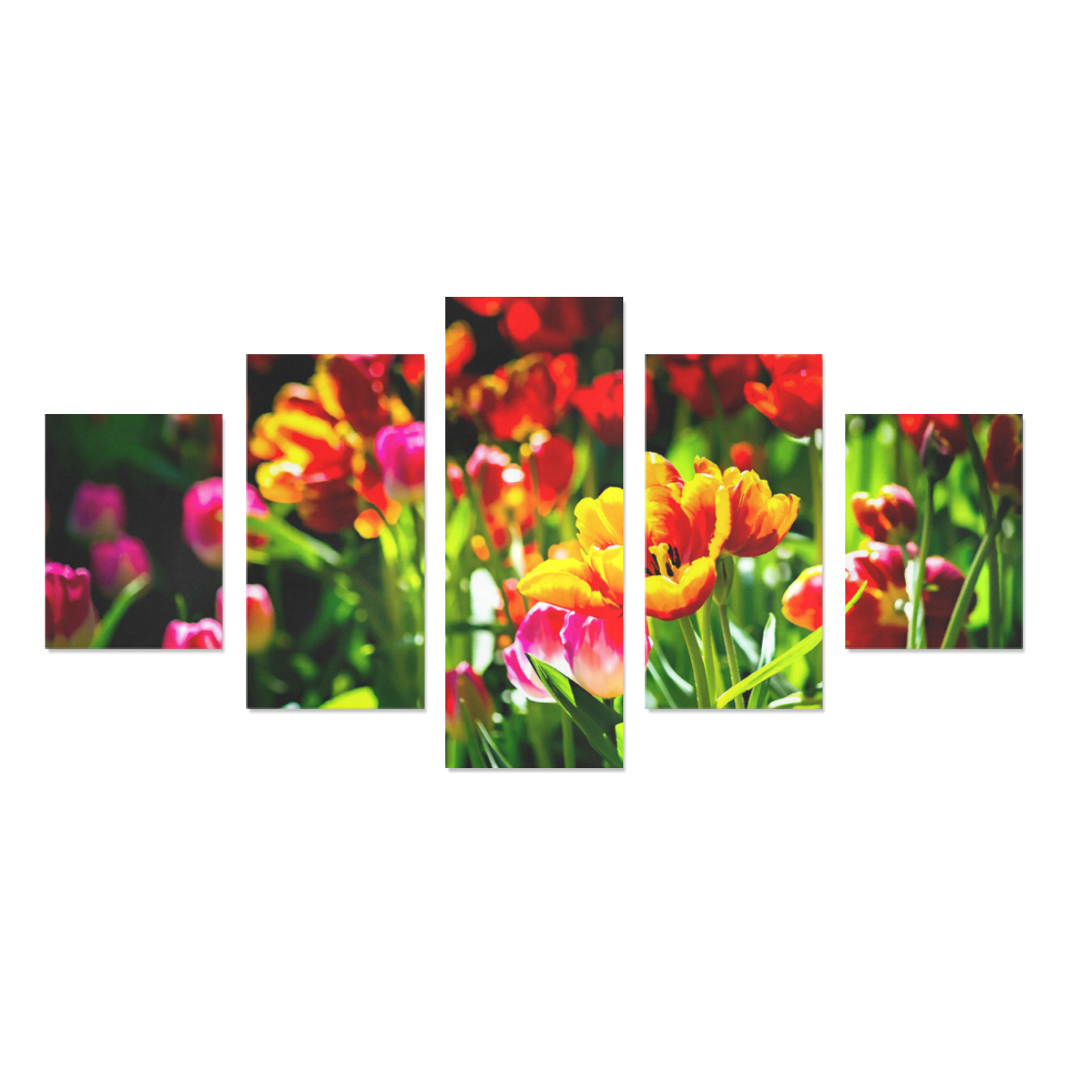 Colorful tulip flowers chic spring floral beauty Canvas Print Sets B (No Frame)